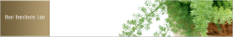 記事一覧