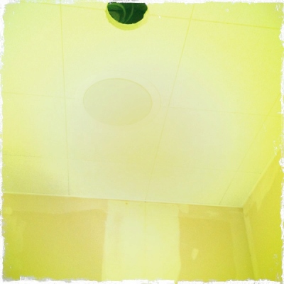 IMG_3506.jpg IMG_3506.jpg
