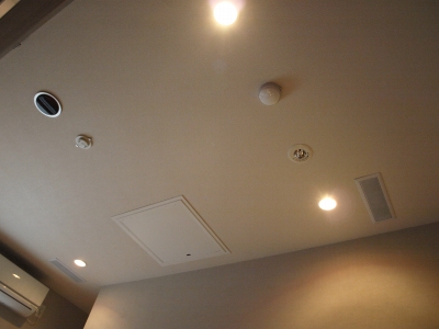 P4162647.jpg P4162647.jpg