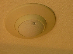 P1000479.jpg